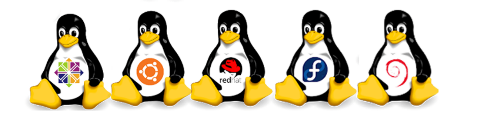 Linux dağıtımları